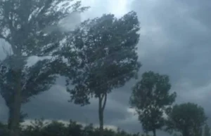 Jumătate de ţară intră sub cod galben de ploi şi vijelii până vineri