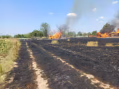 Arde un hectar de teren la Suseni. Un bărbat a suferit un atac de panică. VIDEO