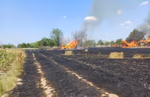 Arde un hectar de teren la Suseni. Un bărbat a suferit un atac de panică. VIDEO