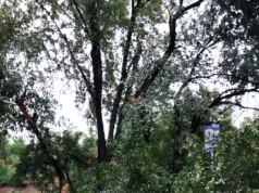 Alertă de vreme periculoasă. Pompierii intervin în Pitești și Ștefănești.