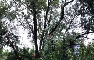 Alertă de vreme periculoasă. Pompierii intervin în Pitești și Ștefănești.