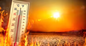 Revine canicula! Prognoza pentru următoarele săptămâni