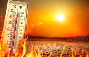 Revine canicula! Prognoza pentru următoarele săptămâni