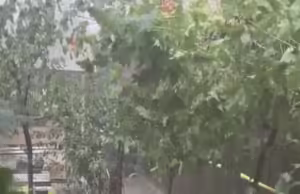 Rupere de nori în Argeș. Copaci căzuți, pagube în gospodăriile oamenilor