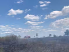 Au ars 6 hectare de vegetație în Argeș