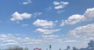 Au ars 6 hectare de vegetație în Argeș