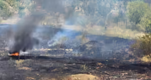 Au ars 4 hectare de teren în Pitești