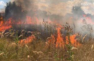 VIDEO. Argeșul, în flăcări. Incendii în 3 localități