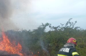 Ard hectare întregi de vegetație în Argeș. Intervențiile pompierilor ACUM în Recea, Călinești și Izvoru