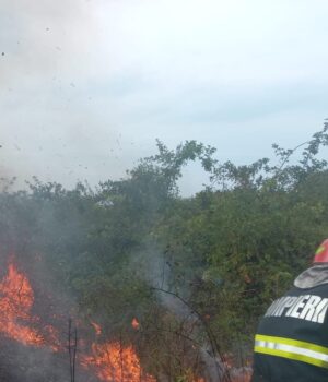 Ard hectare întregi de vegetație în Argeș. Intervențiile pompierilor ACUM în Recea, Călinești și Izvoru