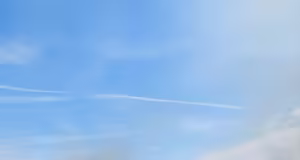 Arde un hectar de vegetație în BASCOV