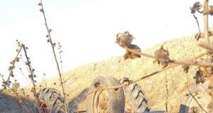 Bărbat prins sub tractor la Beleți Negrești. Acesta a decedat