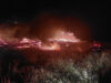 VIDEO.Incendiu la o stână în Nucșoara. Construcția pentru prelucrarea laptelui s-a făcut scrum