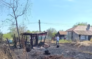 Incendiu de vegetație în Miroși