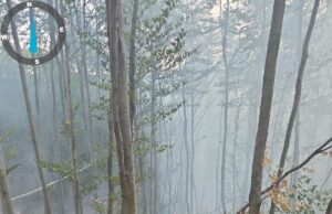 Incendii devastatoare în Argeș. Flăcări în 4 localități.