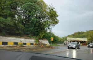 Fenomene meteo periculoase. Străzi blocate din cauza copacilor căzuți