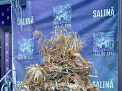 Previno, nu trata! Casa cu Sare te așteaptă să îți întărești sistemul imunitar