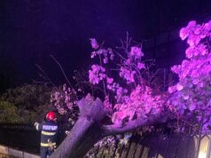 VIDEO. Ciclonul Boris în România: O furtună puternică a inundat străzi din Pitești și a doborât mai mulți copaci