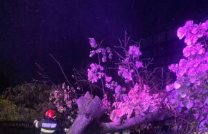 VIDEO. Ciclonul Boris în România: O furtună puternică a inundat străzi din Pitești și a doborât mai mulți copaci