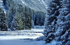 Iarnă neobișnută în România. Meteorologii anunță un sezon cum nu și-ar dori nimeni