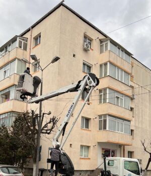 Precizări ale administrației locale Mioveni referitoare la lucrările de toaletare și corecție a arborilor