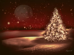 Felicitare din partea Primăriei Poiana Lacului, cu ocazia Sfintelor Sărbători de Crăciun și Anul Nou