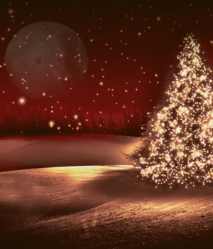 Felicitare din partea Primăriei Poiana Lacului, cu ocazia Sfintelor Sărbători de Crăciun și Anul Nou