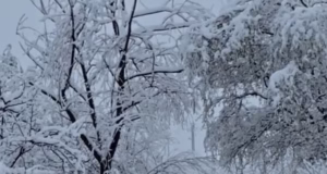 Vreme geroasă în toată țara, cu temperaturi sub normalul perioadei. Ninge viscolit în mai multe zone