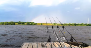 Pescuitul interzis în lacurile din comuna Bradu până în 2026