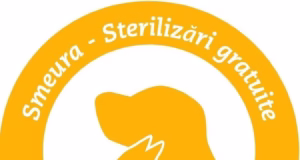 Calendarul programului de sterilizare a câinilor și pisicilor în comuna Bradu.