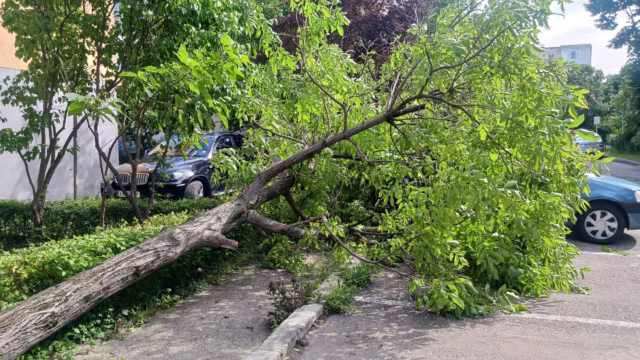 19fde984-e148-4903-b2a0-9b270cc009f9