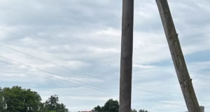 Ziua Eroilor, sărbătorită în comuna Rociu, alături de autorități și elevii din localitate