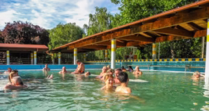 ANUNȚ privind distribuirea biletelor de tratament balnear pentru cea de-a șasea serie din anul 2025