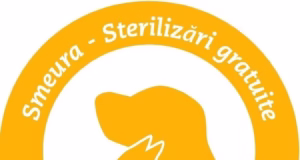 Programul Campaniei de sterilizare a câinilor și pisicilor în comuna Bradu, pentru luna mai