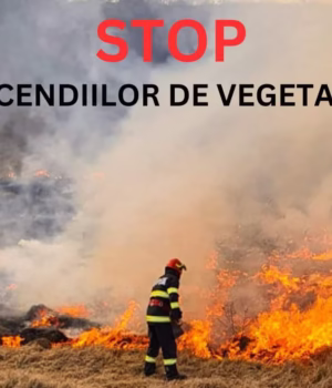 Primăria Rociu, apel către cetățeni: Spuneți STOP arderilor de vegetație uscată, fiți responsabili!