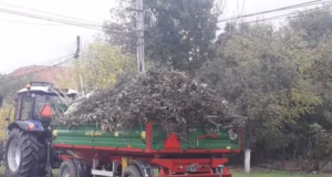 Anunț important al primarului Dănuț Stroe. Cine nu respectă, va fi sancționat