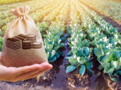 Micii fermieri sunt obligați de la 1 iulie să treacă la e-Factura