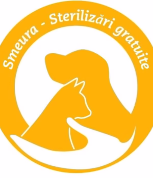 Sterilizări gratuite pentru câini și pisici la BRADU!