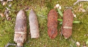 Muniție găsită în Bascov de către un detectorist