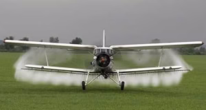 Campanie de dezinsecție la Bradu. Avertismentul autorităților locale