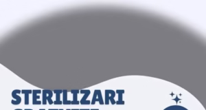 Sterilizări gratuite pentru câini și pisici la Bascov