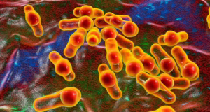 Apă otrăvită cu clostridium în rețeaua publică de distribuție. Anchetă penală de amploare în Prahova, după ce mai mulți oameni au ajuns la spital