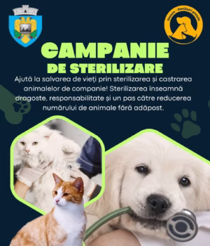 Continuă campania de sterilizare a câinilor și pisicilor în Comuna Bradu. Află detalii!