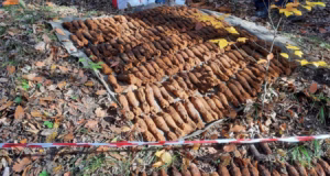 Sute de elemente de muniție, depistate la Bascov