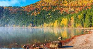 Meteorologii ANM au emis prognoza pe termen lung: Ne așteaptă o lună noiembrie total atipică