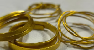 Comoara ascunsă sub copac: patru brățări de aur vechi de 3.300 de ani, descoperite într-o pădure din Gorj