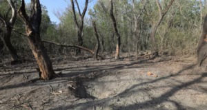 IPJ Argeș, verificări cu privire la găsirea unei drone prăbușită în Lerești