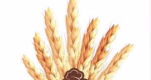 ZARIS, companie argeșeană, lider pe piața panificației!