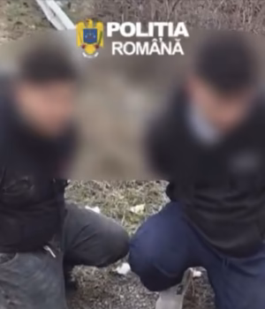 Trei bărbați au fost imobilizați pe un câmp din Argeș după o urmărire în trafic. Polițiștii au tras și focuri de avertisment