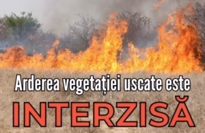 Primarul comunei Bogați avertizează asupra arderilor necontrolate ale vegetației uscate